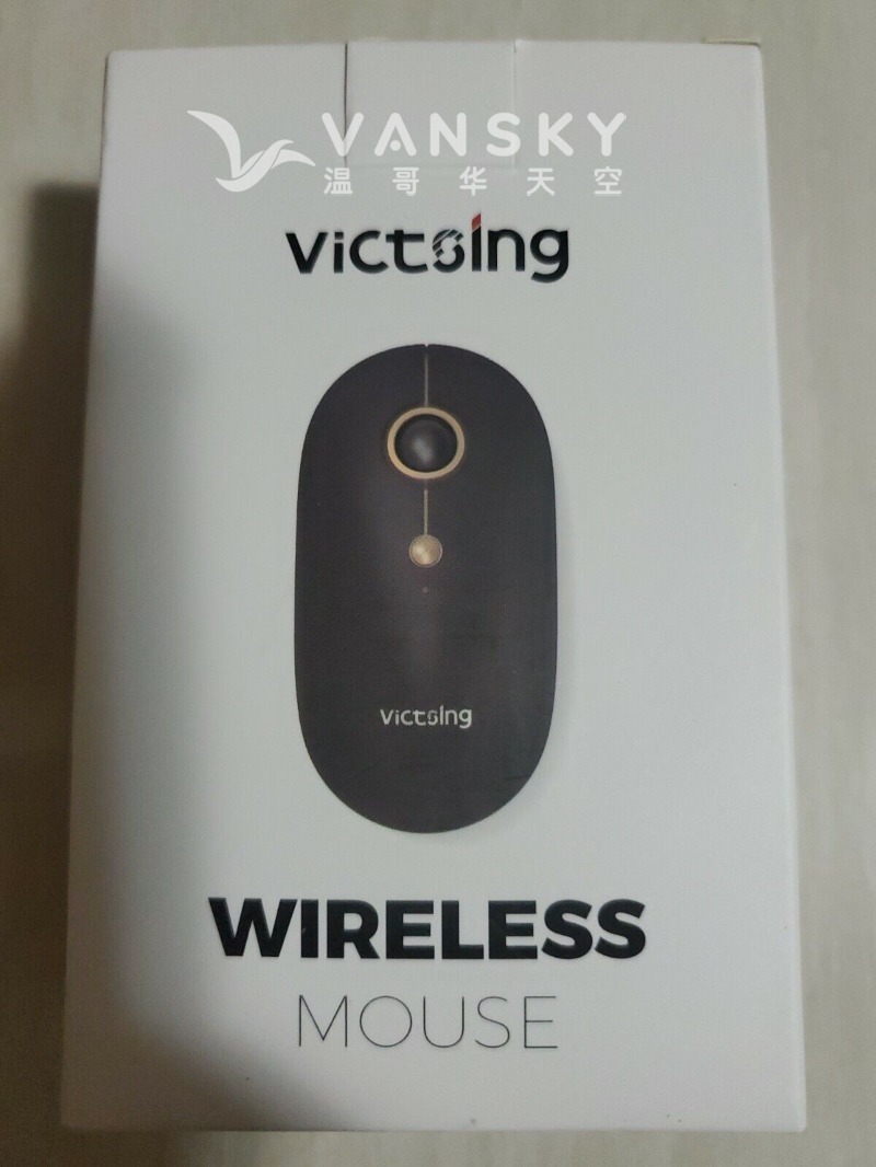 240412121653_Victsing Mouse box.jpg